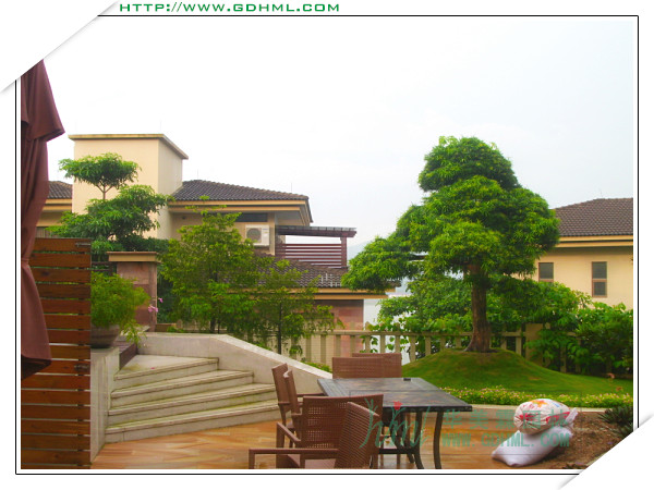 東莞綠化公司別墅庭院景觀作品